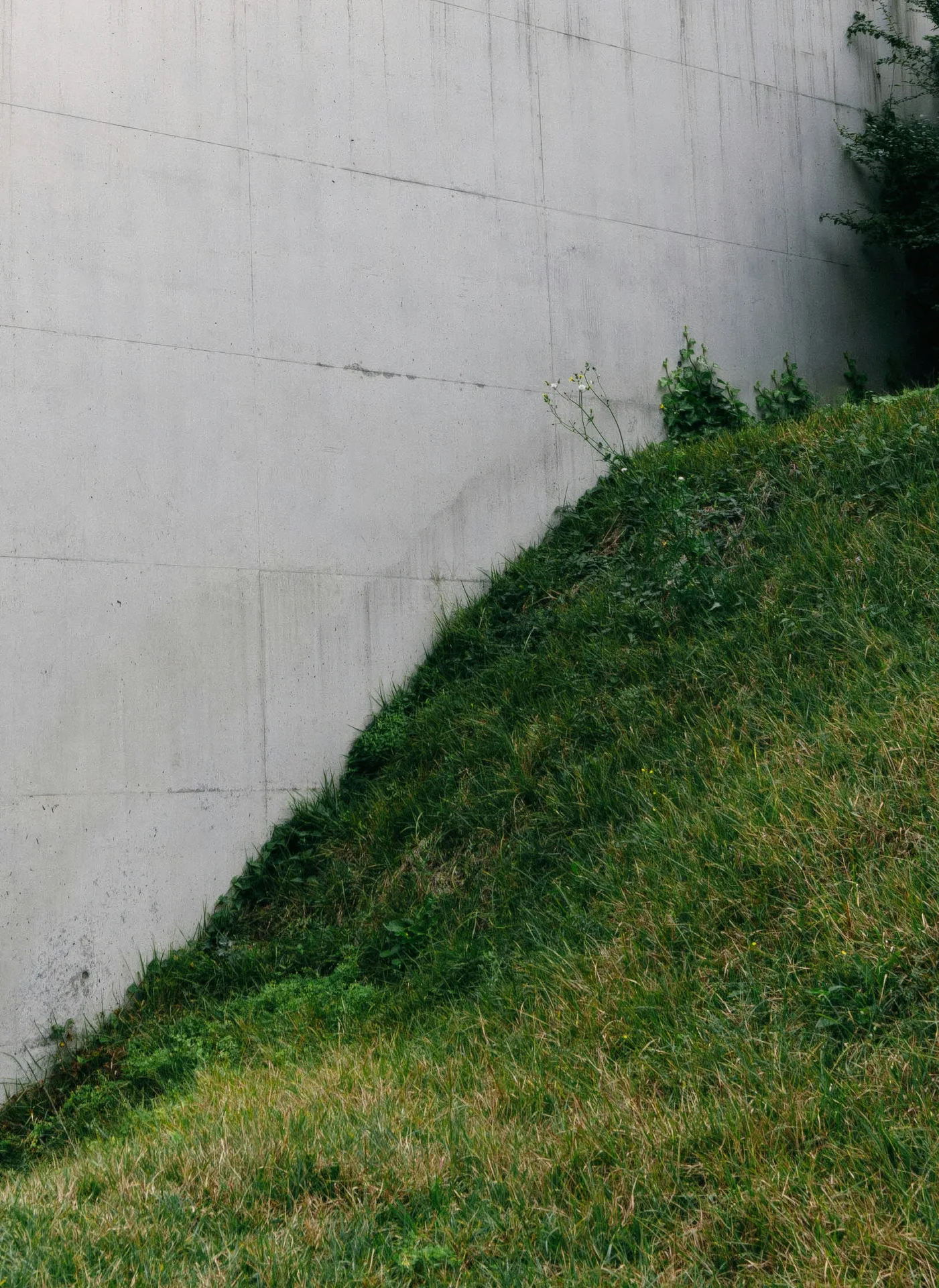 poured concrete retaining wall at a Detroit home
